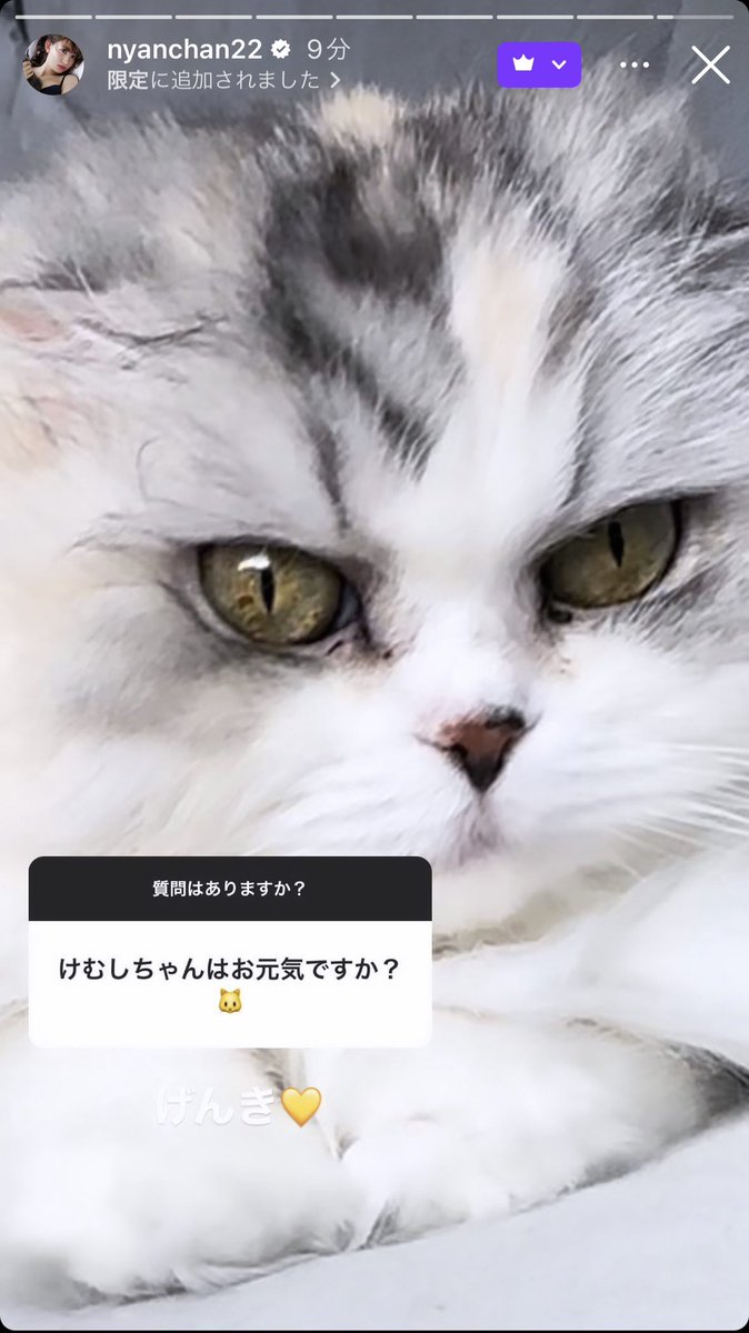 cat6dog1happy's tweet image. 飼い主のオタ活😆
小嶋さんのサブスクに質問送ったら返信とけむしちゃんの写真送ってくれた♡
ありがとございます❤️
小嶋さんもherliptoもけむしちゃんも大好きです😘
@kojiharunyan 
#herlipto 
#kojiharunyan