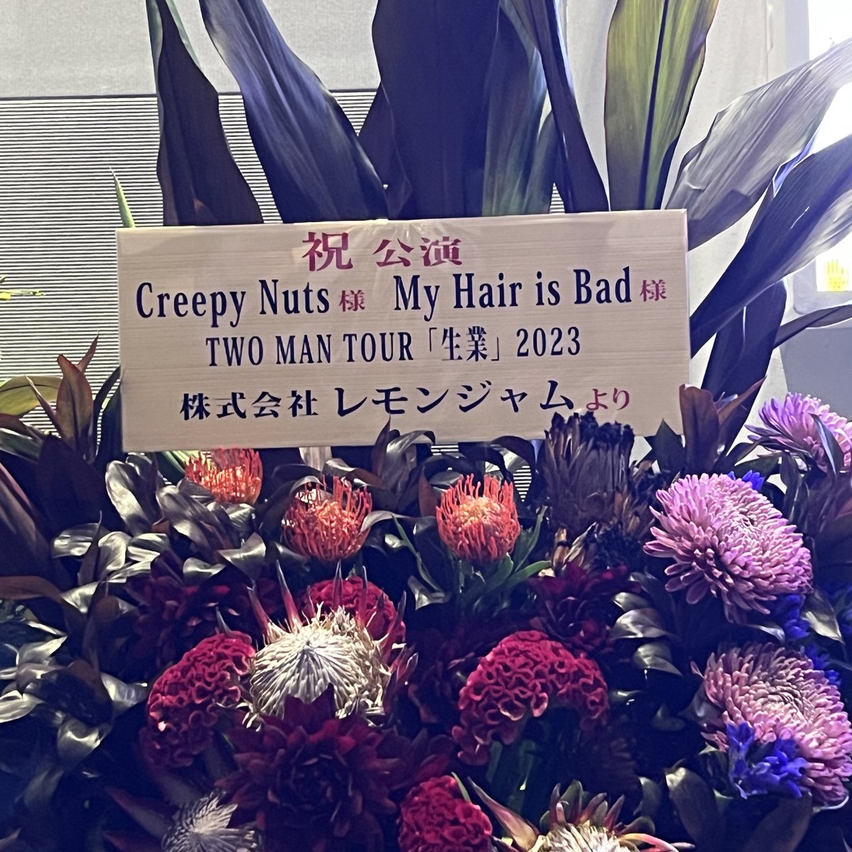 ___1629___'s tweet photo. マイヘアがCreepy Nutsってたくさん言ってくれて、くりぴがマイヘアってたくさん言ってくれて幸せだった😭泣いたんだけど😭バヤさん生業のTシャツ着てたのもう愛すぎる😭そしてバヤさんのピック3個目ゲットした😭だいすきとだいすき、一生忘れない、ありがとう、だいすき😭 https://t.co/Btym56z8YX
