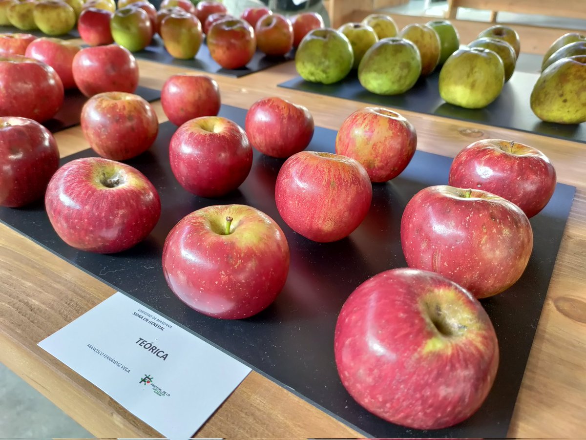 Arranca el Festival de la Manzana de #Villaviciosa en #Asturias 
No te lo puedes perder. Del 11 al 15 de Octubre
#FestivaldelaManzana 
#ComarcadelaSidra #TurismoAsturias #CulturaSidrera #Cider
