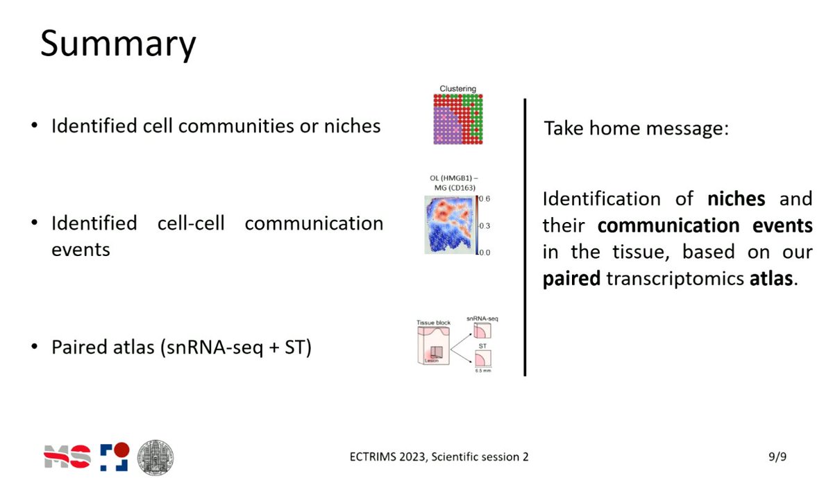 📢Fantastic talk from <a href="/Cels121/">Celia Lerma Martin</a> 
🎯demonstrating tools for examining spatial transcriptomics ✅delineate which cells, what are they doing and where are they in #MS
#ECTRIMS2023 #MSMilan2023 <a href="/ECTRIMS/">ECTRIMS</a>