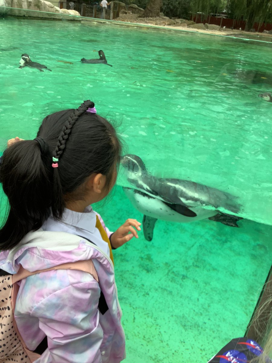 Pineham Barns tweet media