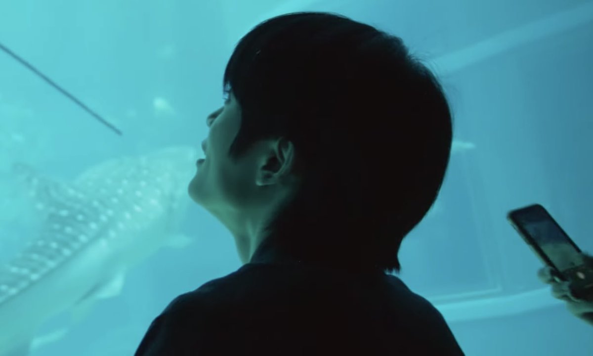 ocean view 🌊 🦭💙