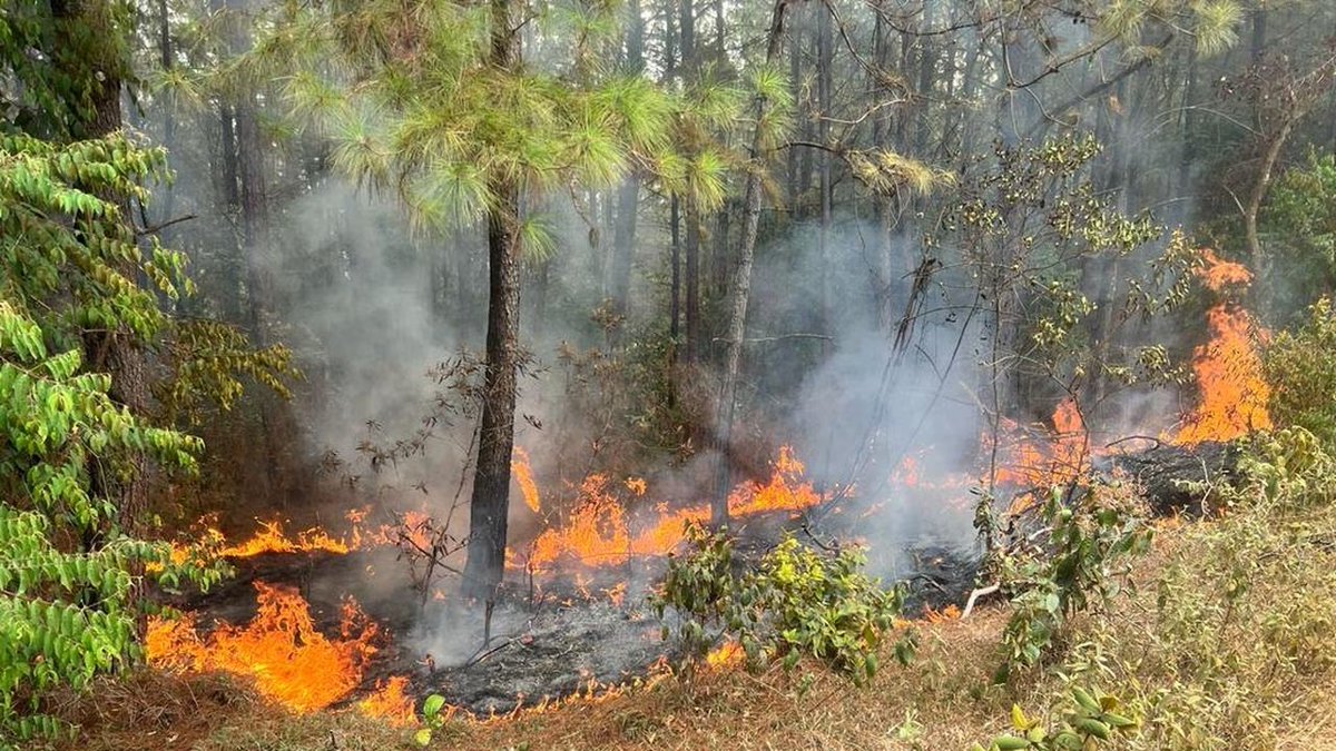 rafaelg642021's tweet photo. Para #doctrinaconservadora desgobierno amoral y corrupto #Petrocaos sigue su curso normal ,
#cauca incendio finca atacando población civil
#Petroanarquíacaos
porque siente placer con el dolor ajeno
Q #Dios tenga misericordia de #Colombla
#petrosociopata https://t.co/eFdOMzxA2n
