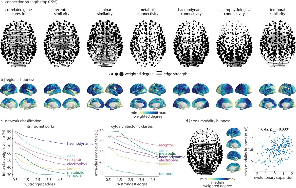 Bratislav Misic (@misicbata) on Twitter photo Integrating multimodal and multiscale connectivity blueprints of the human cerebral cortex in health and disease | doi.org/10.1371/journa…
Led by <a href="/JustineYHansen/">Justine Hansen</a>
Brain networks hither and yon <a href="/PLOSBiology/">PLOS Biology</a> ⤵️ Integrating multimodal and multiscale connectivity blueprints of the human cerebral cortex in health and disease | doi.org/10.1371/journa…
Led by <a href="/JustineYHansen/">Justine Hansen</a>
Brain networks hither and yon <a href="/PLOSBiology/">PLOS Biology</a> ⤵️