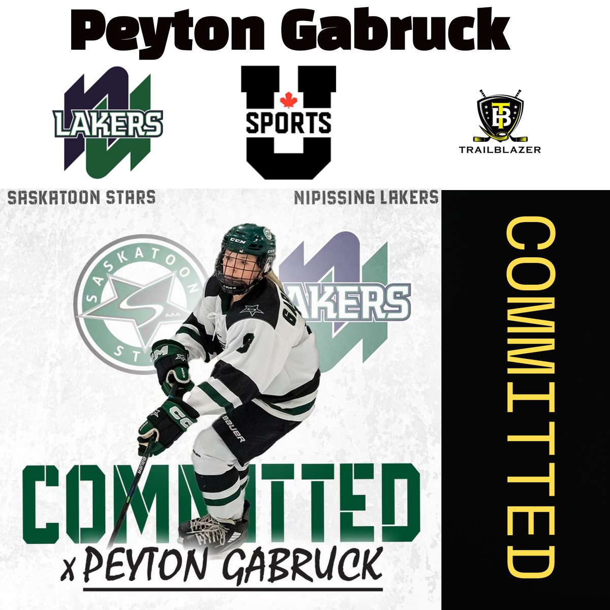 TrailBlazer Hockey Advisors tweet media