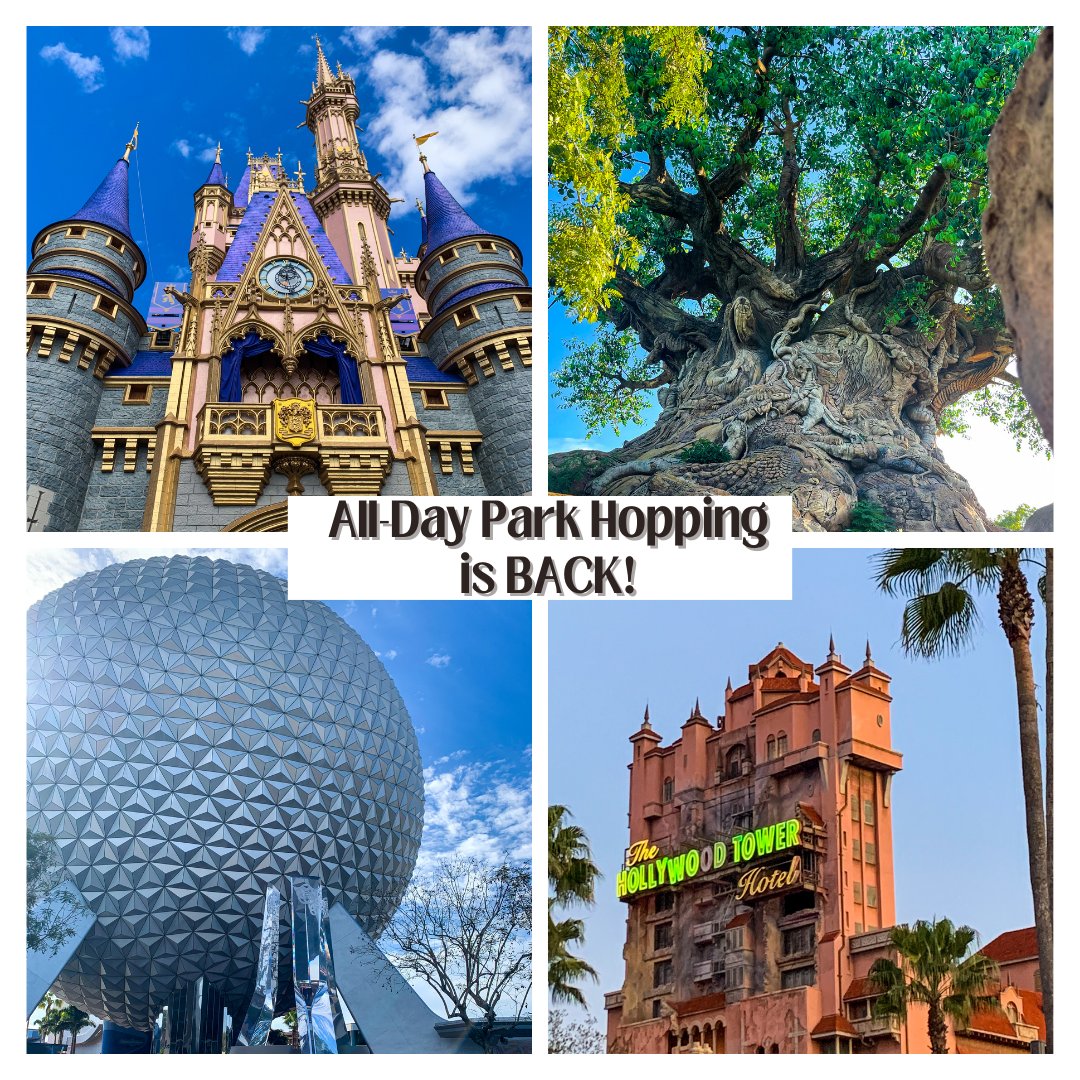 CassEnchants's tweet photo. 🚨Breaking News: All-Day Park Hopping is BACK at #WaltDisneyWorld✨ Read More: https://t.co/ksqzYsWiep https://t.co/SnuNvvmCBu
