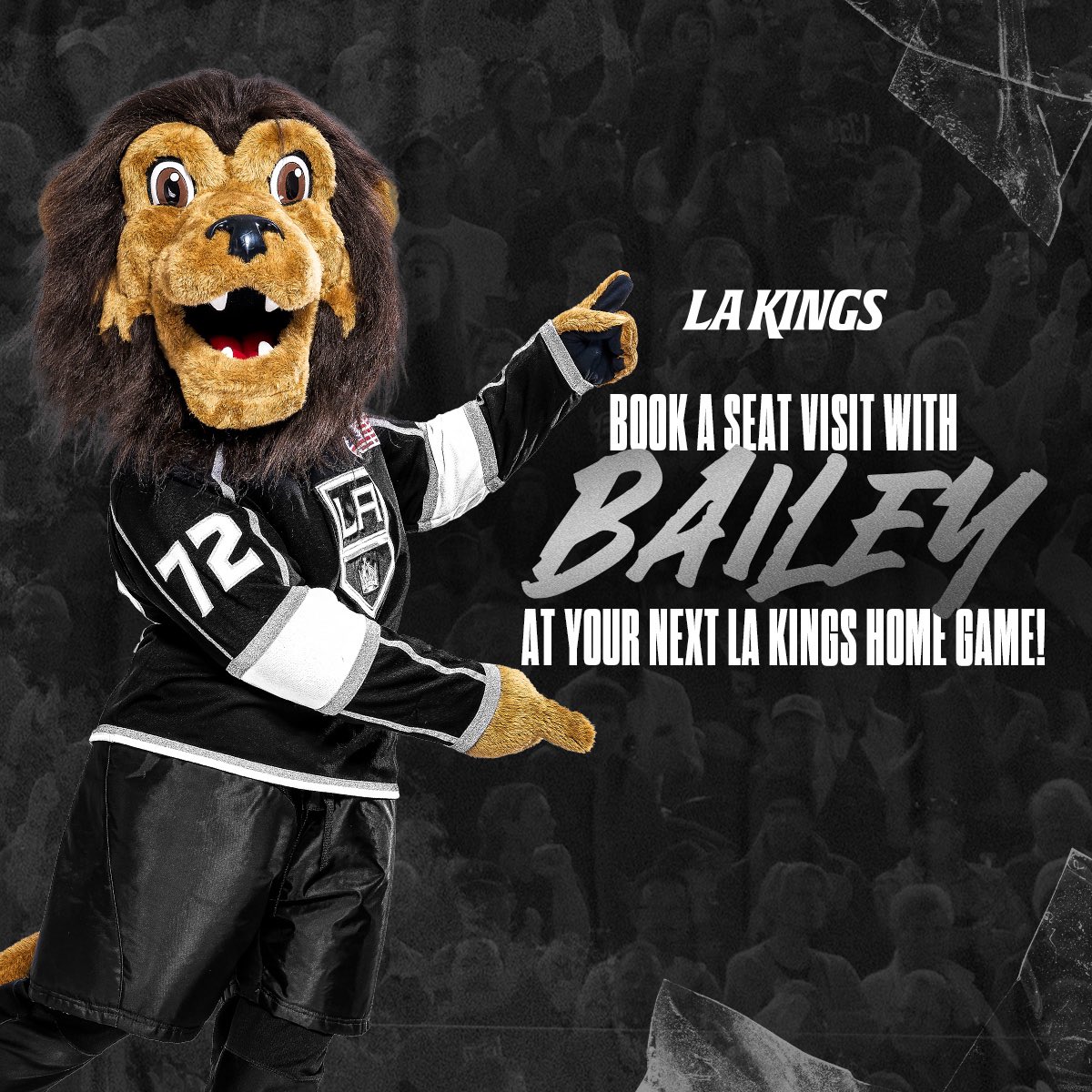 bailey kings mascot