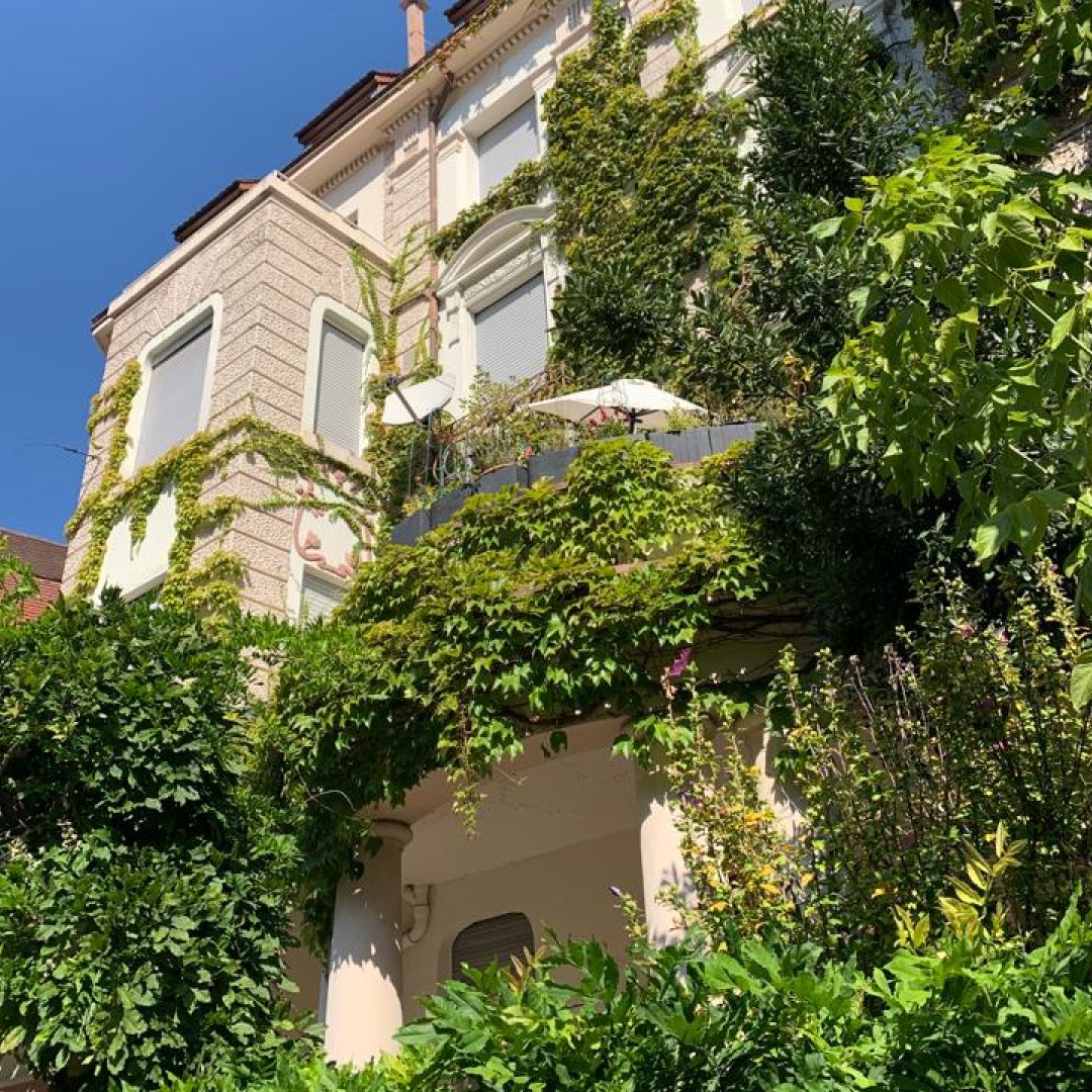 karlsruhepuls's tweet photo. So lässt sich der Oktober doch genießen 🌞🌵Oder? 

#karlsruhe #karlsruhepuls #green #weststadt #house #fairytail #beautiful #awesome #schön #oktober #germany #schöneswetter #beautifulweather #bluesky #october #strollingaround #city #citylife #grüneoase https://t.co/slqlWpnqIb