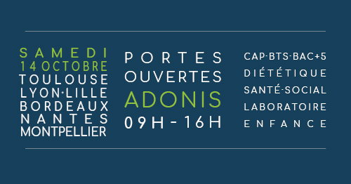 Adonis tweet media