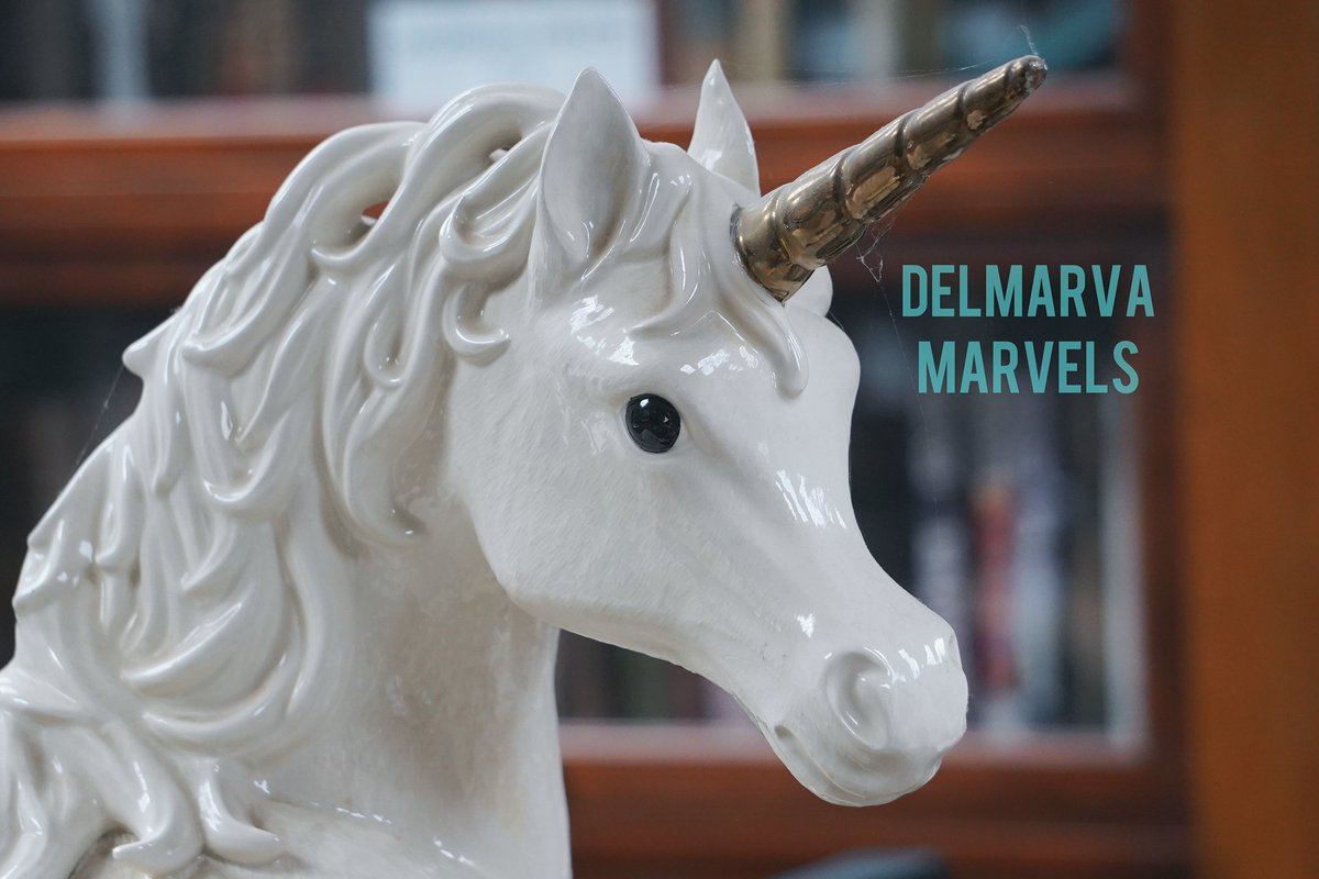 DelmarvaMarvels's tweet photo. See more photos of Delmarva Marvel, the Unicorn Bookshop, at https://t.co/8wyfNmP69E 

Free to follow! 

#Wanderlust #TravelBlog #PhotoBlog #Delmarva #DelmarvaMarvels #photography #UnicornBookshop #Unicorns #Magocal #DiscoverNewPlaces #HiddenGems #AdventureAwaits #Maryland #MD https://t.co/OJaSBlFJnZ