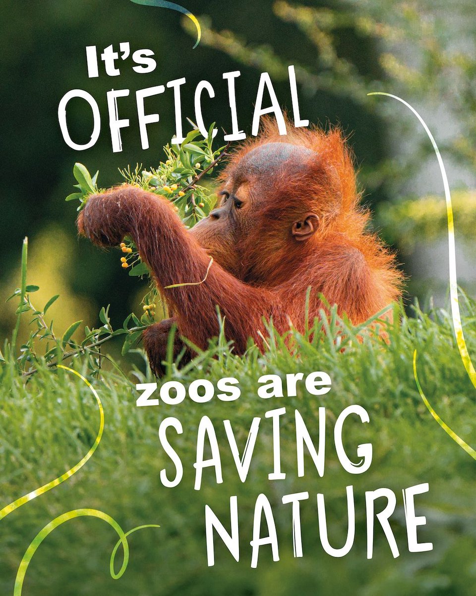 Chester Zoo Science tweet media