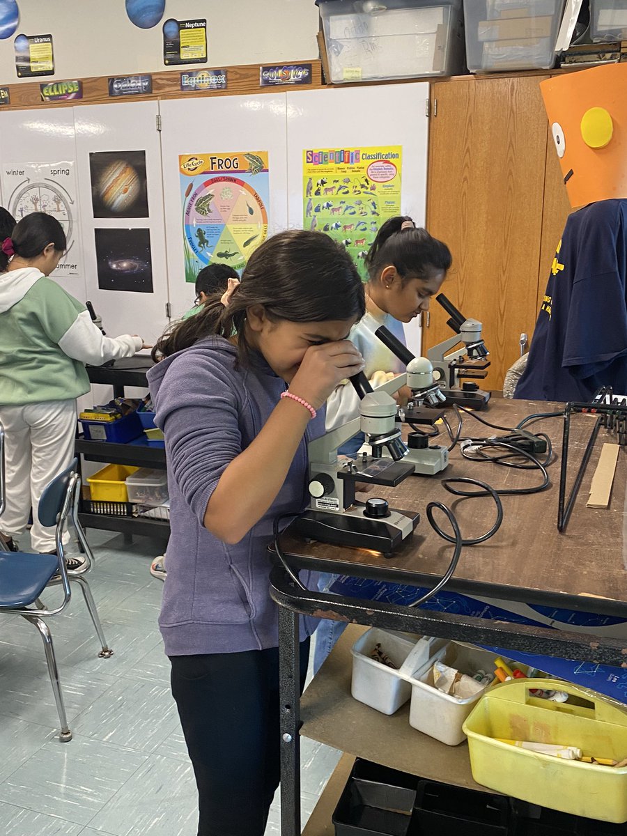 MsCelicsClass's tweet photo. Microscopes are macro-fun! We learned the parts of a microscope and created slides to examine the life in sea water. 🔬💧 @laurie_oddo @A_RiveraNY https://t.co/zYJkcodamn