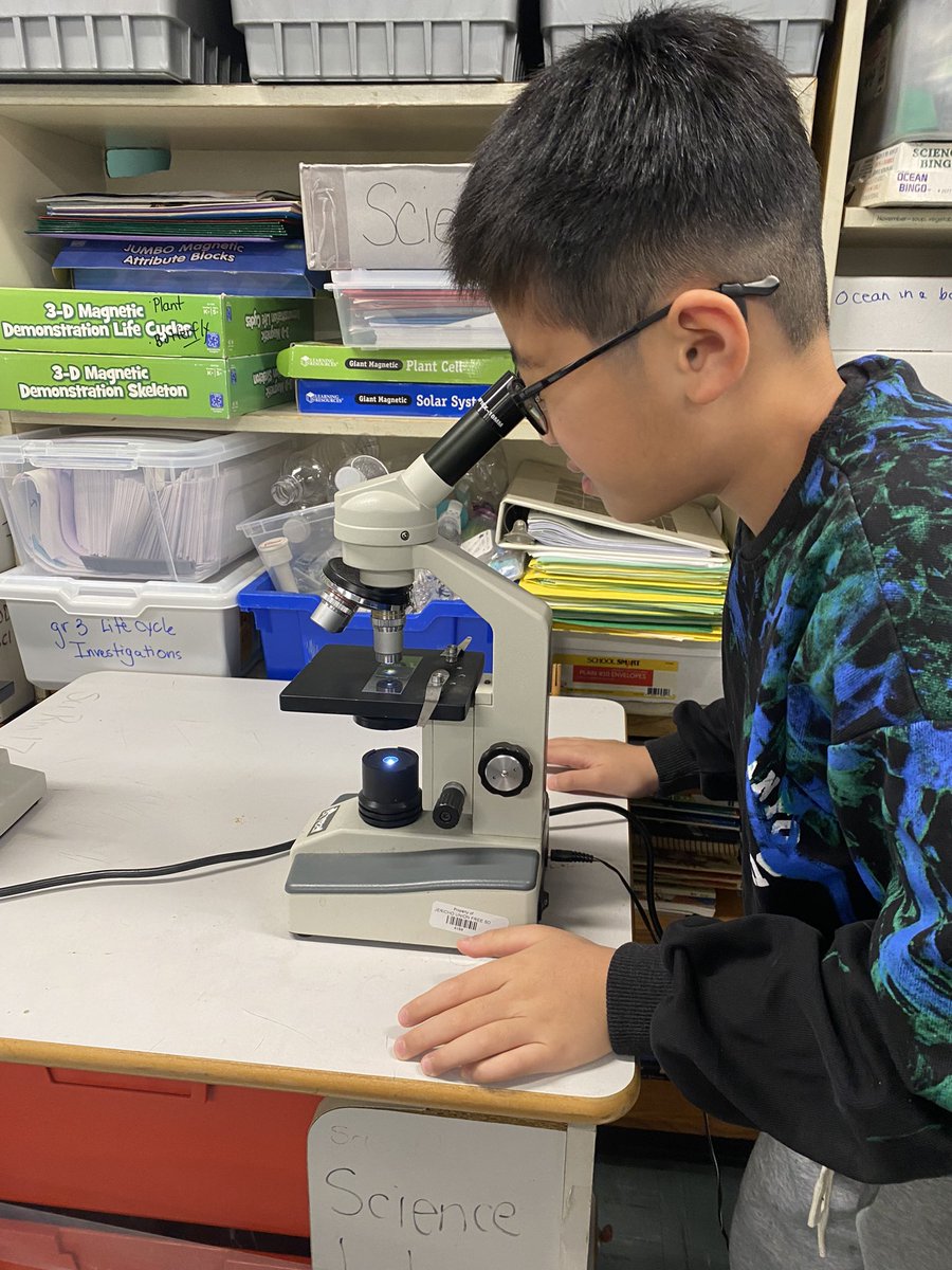 MsCelicsClass's tweet photo. Microscopes are macro-fun! We learned the parts of a microscope and created slides to examine the life in sea water. 🔬💧 @laurie_oddo @A_RiveraNY https://t.co/zYJkcodamn