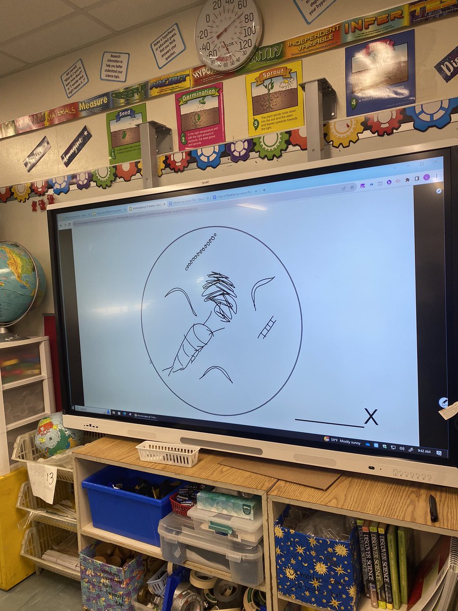 MsCelicsClass's tweet photo. Microscopes are macro-fun! We learned the parts of a microscope and created slides to examine the life in sea water. 🔬💧 @laurie_oddo @A_RiveraNY https://t.co/zYJkcodamn