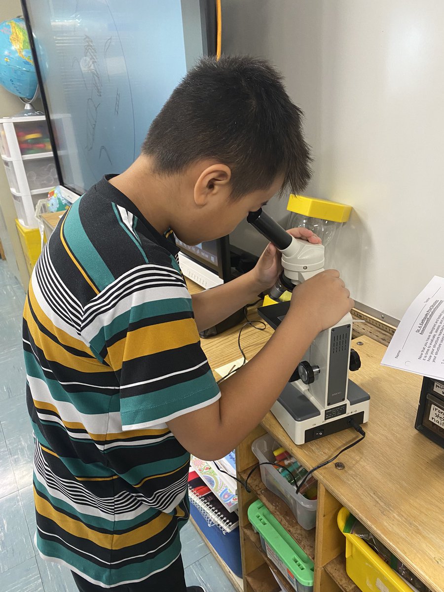 MsCelicsClass's tweet photo. Microscopes are macro-fun! We learned the parts of a microscope and created slides to examine the life in sea water. 🔬💧 @laurie_oddo @A_RiveraNY https://t.co/zYJkcodamn