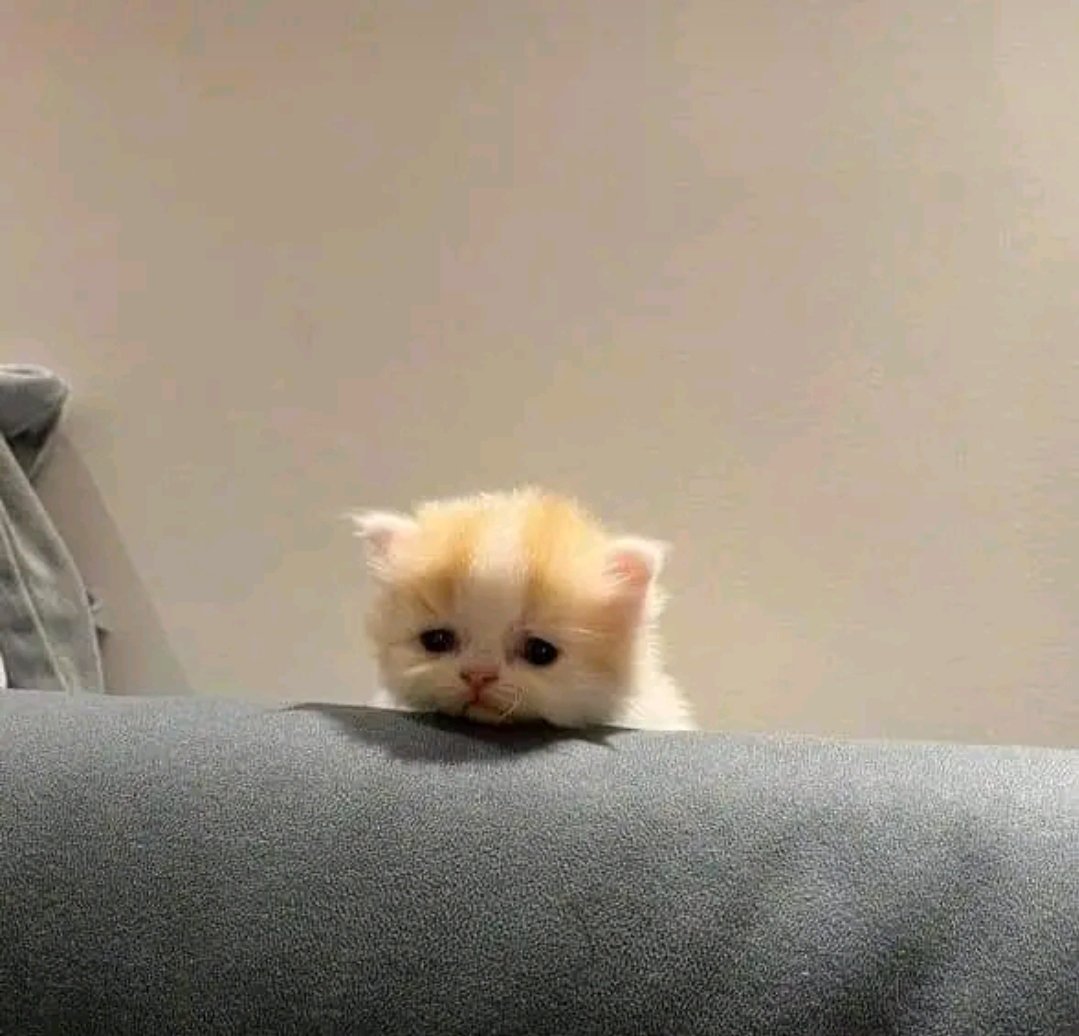 UF InfoSec tweet media