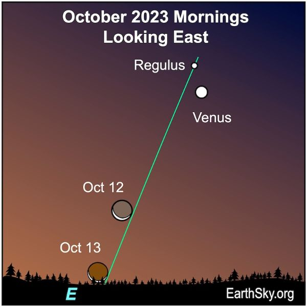 GrannyMooninVA's tweet photo. The Moon is waning toward Saturday's eclipse
Tomorrow morning's thin waning Moon will float below dazzlingly bright Venus. You'll also see the bright star Regulus, Heart of the Lion in Leo, nearby. Can you see a delicate glow on the unlit side of the moon... https://t.co/F5pPYVfFDo