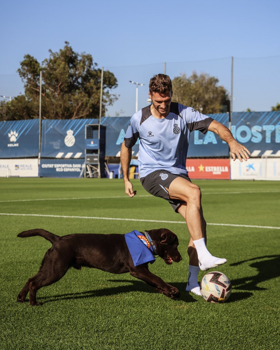 RCDEspanyol's tweet image. 🤝 A l'#EspanyolValladolid, els nostres jugadors sortiran al camp acompanyats de 11 gossets i gossetes que busquen una llar

🏡 Entre tots els aconseguirem trobar casa!

🐶 𝗨𝗡 𝗣𝗘𝗥𝗜𝗖𝗢 𝗡𝗢 𝗔𝗕𝗔𝗡𝗗𝗢𝗡𝗔 #SuperLligaSolidaria