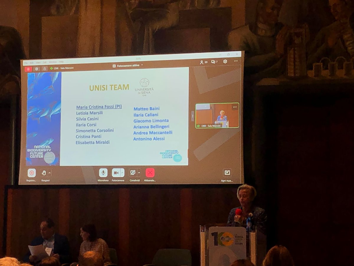 Plastic Busters (@plasticbusters) on Twitter photo Today, <a href="/unisiena/">Università di Siena</a> - Prof. M. Cristina Fossi - presented UNISI activities in Rome - @SETAC_BRANCH_IT - within the scope of <a href="/nbfc_italy/">NBFC - National Biodiversity Future Center</a> Spoke 2 - Zero Pollution. The focus was on the effects of emerging contaminants on Mediterranean biodiversity🐋🐋 Today, <a href="/unisiena/">Università di Siena</a> - Prof. M. Cristina Fossi - presented UNISI activities in Rome - @SETAC_BRANCH_IT - within the scope of <a href="/nbfc_italy/">NBFC - National Biodiversity Future Center</a> Spoke 2 - Zero Pollution. The focus was on the effects of emerging contaminants on Mediterranean biodiversity🐋🐋