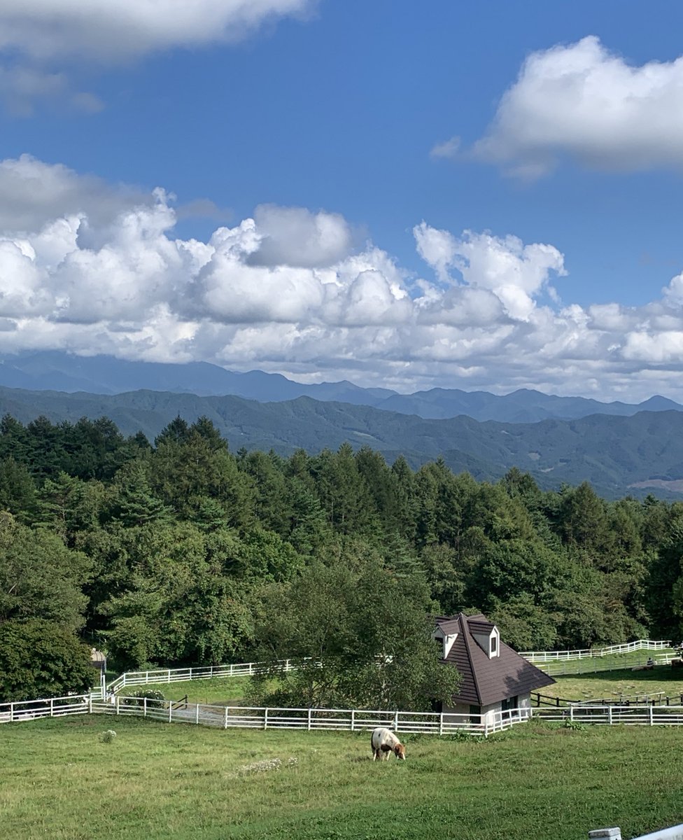 amaiyumegamitai's tweet photo. 入場料無料で動物にふれあえる公園🐏
景色も最高だった~⛰️！！ https://t.co/Me6VYrvajB