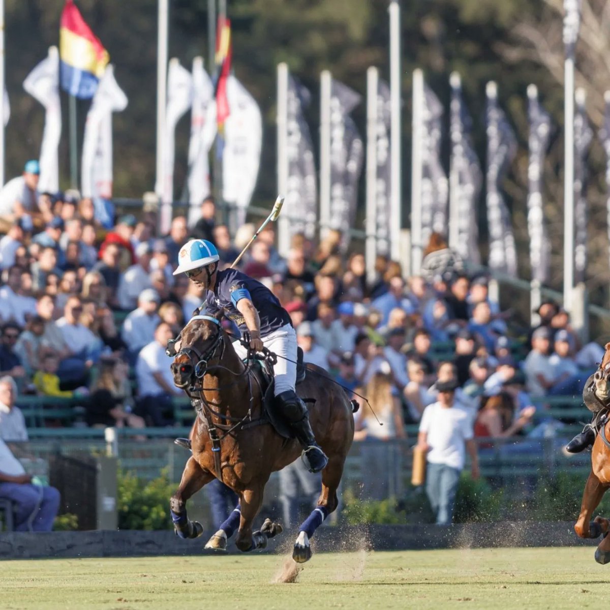 SantaMariaPoloC tweet picture