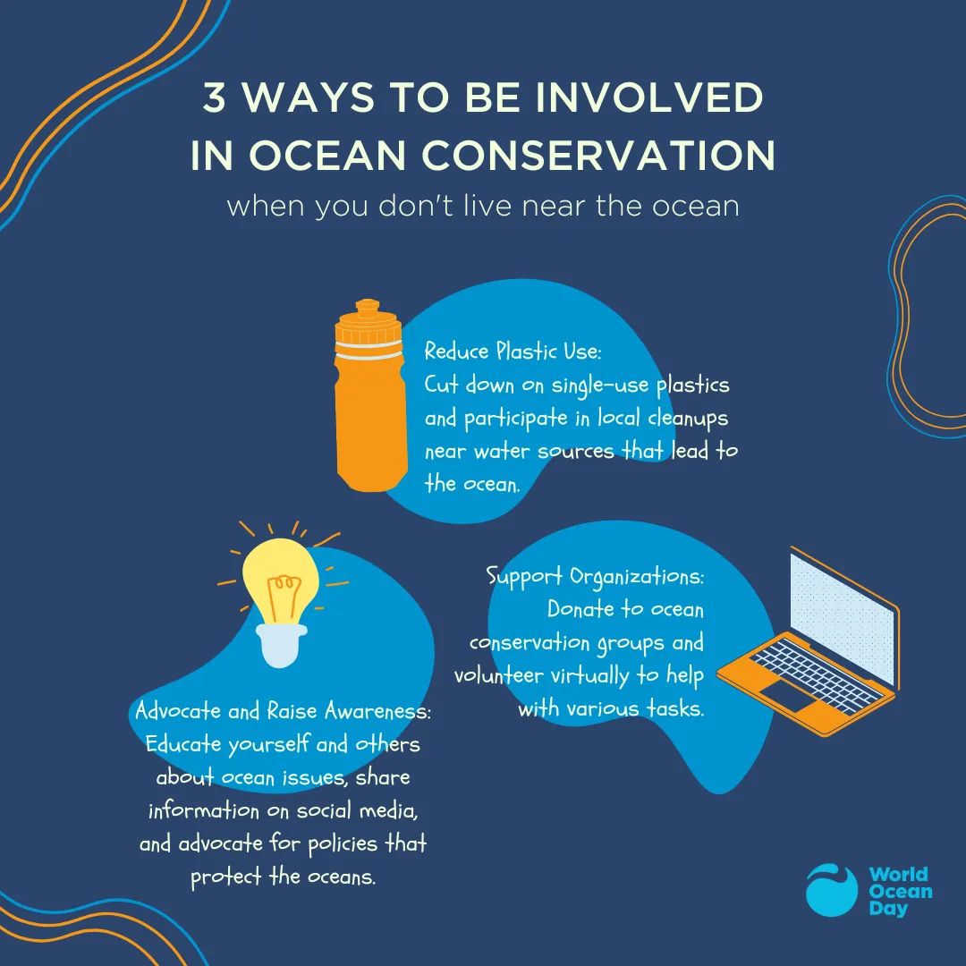 WorldOceansDay's tweet photo. Ocean conservation knows no boundaries. 🌊 Here are three ways to make a global impact, no matter where you call home. 💙 #ProtectOurOcean https://t.co/lcUmrOM83m