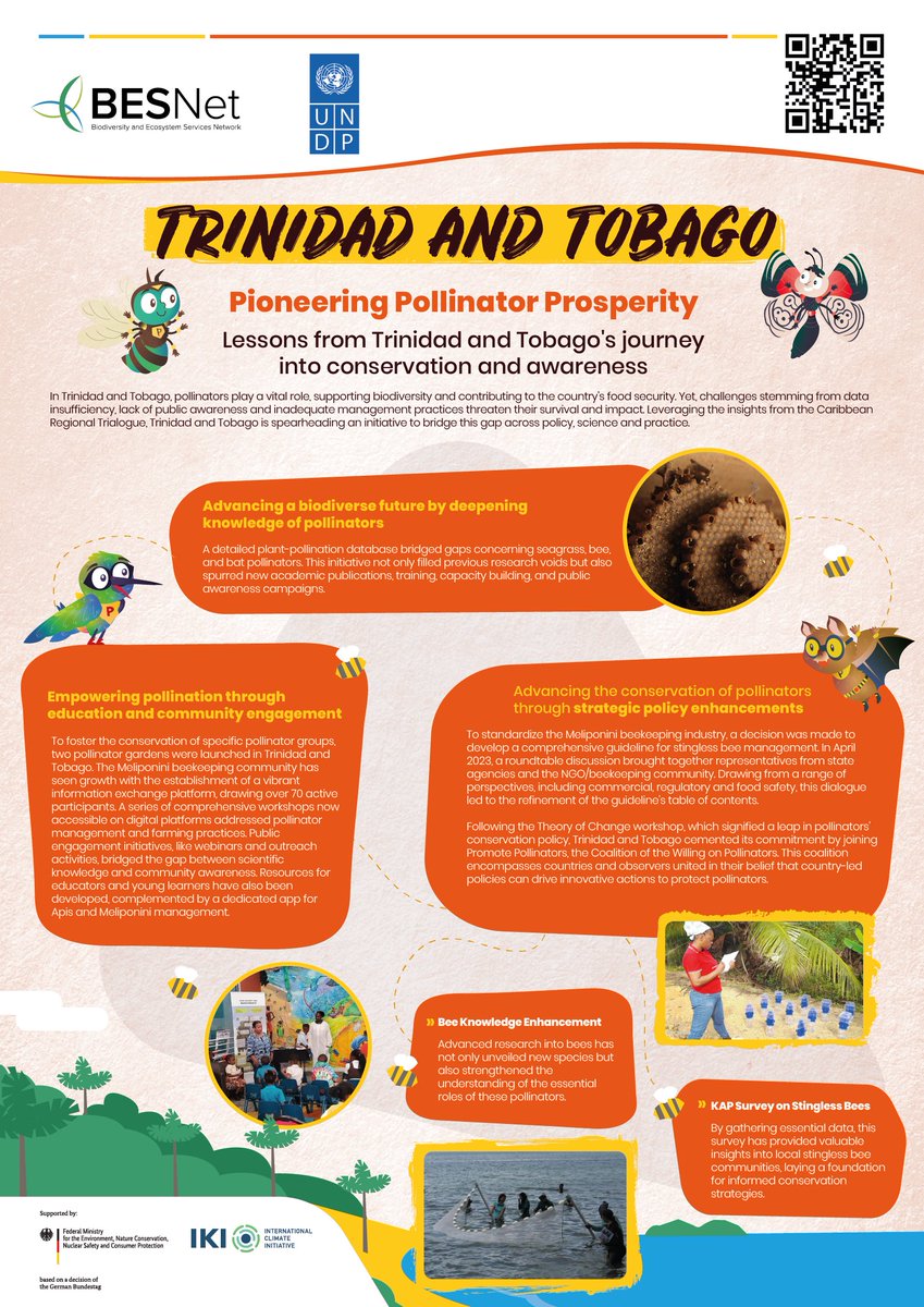 BESNet_UNDP's tweet photo. #DYK that in 🇹🇹 Trinidad &amp;Tobago, the #BESsolutionFund is helping to harness insights from BES-Net's Caribbean Regional Trialogue to drive #PollinatorConservation through strategic policy enhancements &amp; community involvement, and empower a biodiverse future? 🦋🐝

Learn how 👇 https://t.co/kIDdF1Lp0K