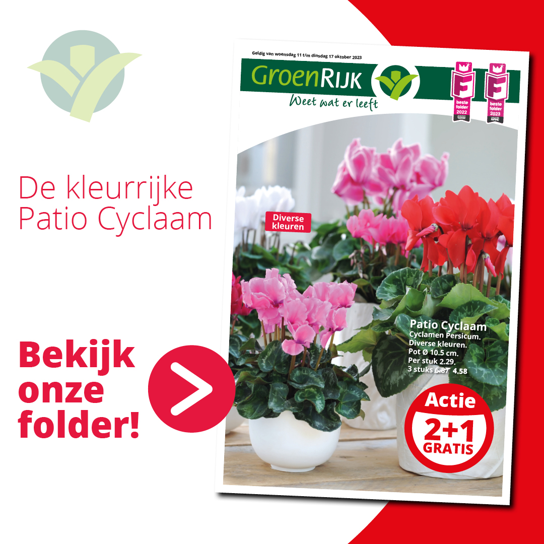 Wij hebben weer een nieuwe folder met kleurrijke aanbiedingen! Lees alles over de Cyclaam en veel meer kleurrijke herfstplanten. Bekijk de nieuwe folder op: ow.ly/ZK4w50PUVRV

#Folder #Weekaanbieding #GroenRijk