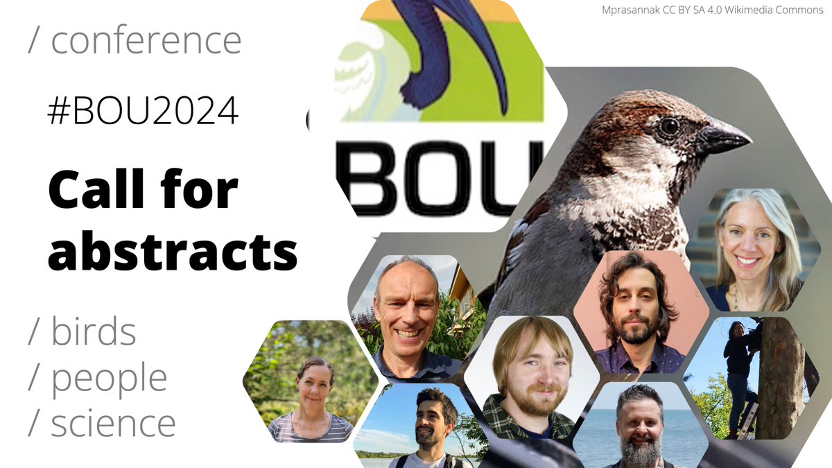 BOU ๐ฉ๐ปโ๐ซ๐จ๐ฟโ๐ซ๐ง๐ฝ๐ณ๐ฝโโ๏ธ ๐ (@ibis_journal) on Twitter photo โผ๏ธ CALL FOR ABSTRACTS
Urban birds | 9 - 11 April 2024 | Nottingham & Twitter
Submit your abstract for a poster presentation at #BOU2024 | Deadline: 31 Oct
bou.org.uk/event/urban-biโฆ
#ornithology | <a href="/_choward/">Christine Howard</a> <a href="/dmdominoni/">Davide M Dominoni</a> <a href="/_KatePlummer/">Kate Plummer</a> <a href="/CarolineIsak/">Caroline Isaksson</a> โผ๏ธ CALL FOR ABSTRACTS
Urban birds | 9 - 11 April 2024 | Nottingham & Twitter
Submit your abstract for a poster presentation at #BOU2024 | Deadline: 31 Oct
bou.org.uk/event/urban-biโฆ
#ornithology | <a href="/_choward/">Christine Howard</a> <a href="/dmdominoni/">Davide M Dominoni</a> <a href="/_KatePlummer/">Kate Plummer</a> <a href="/CarolineIsak/">Caroline Isaksson</a>