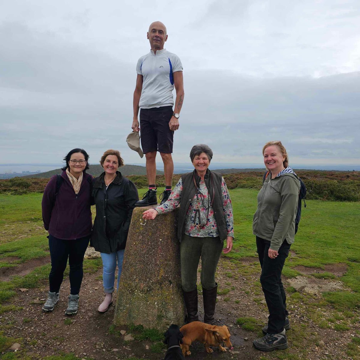 Somerset Team for Early Psychosis (STEP) tweet media
