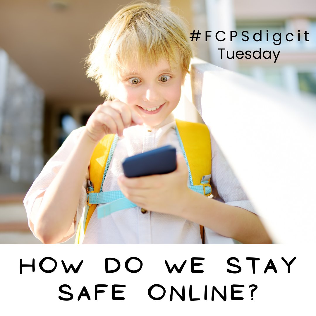 Learning to assess risk, how to protect private information, and stay in places that are age-appropriate help to keep our youngest students safe online. Supporting students every day to develop these skills pays off for a lifetime! #FCPSdigcit @CommonSenseEd, #digcitweek #FCPSpog