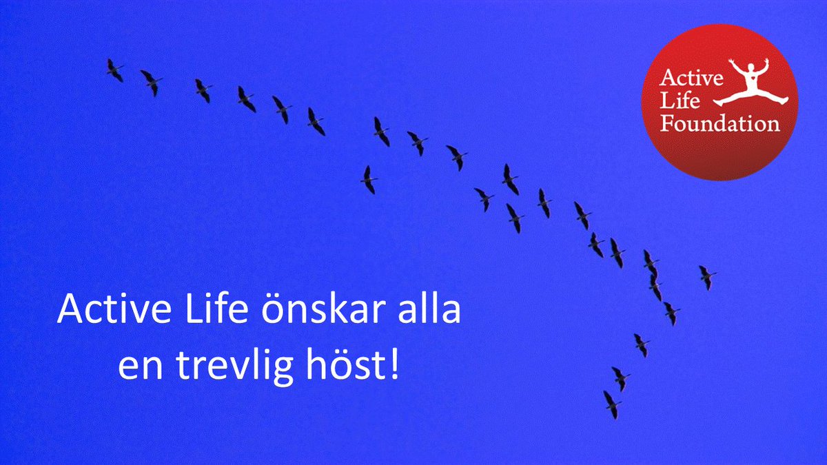 ActiveLifeFound's tweet image. Active Life önskar alla en trevlig höst!

#activelifefoundation,

#hjälperskadadeidrottare,

#tillbakapåbanan,

#idrottsrehabilitering,

#idrottsskador,

#gih,