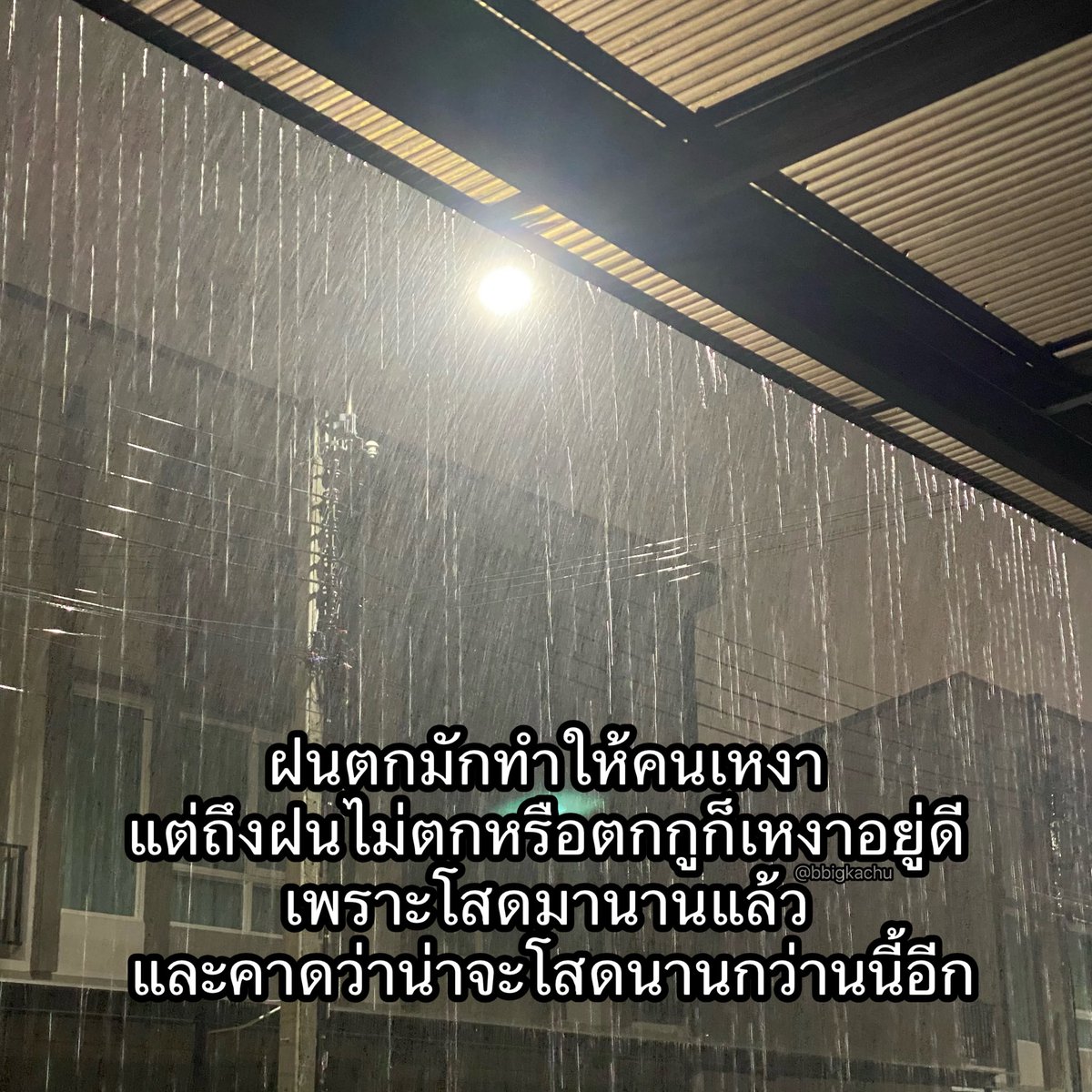 โสดตลอดไป 5555555555555