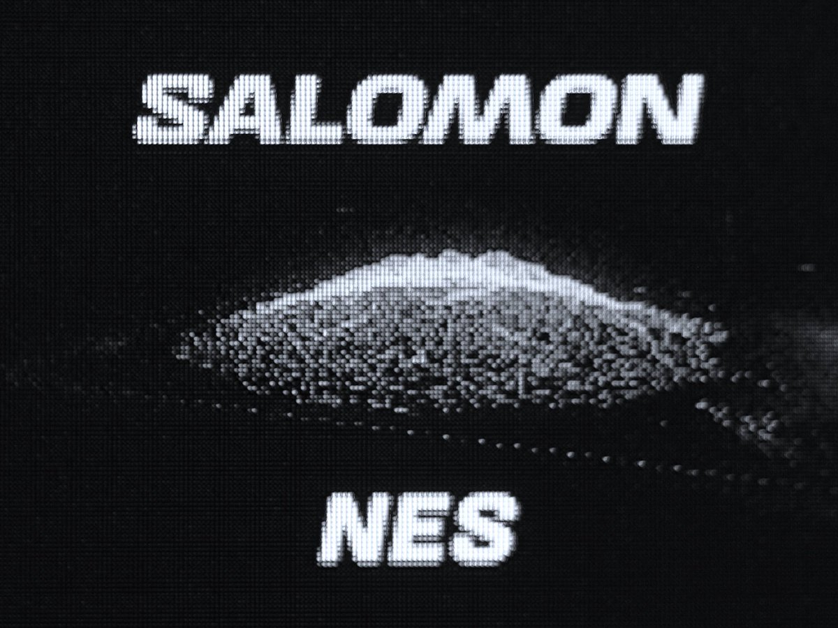 SALOMON x moi même