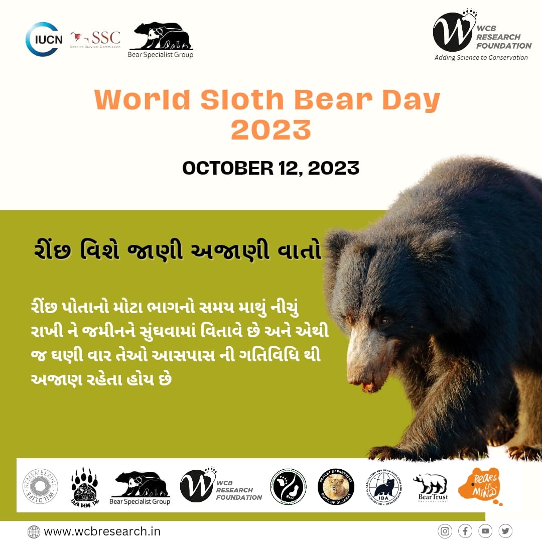 #6 Some unknown facts of sloth bear 
<a href="/BearTrust/">Bear Trust International</a>
<a href="/GujForestDept/">GujaratForestDept</a>
<a href="/IUCNssc/">IUCN Species Survival Commission</a>
<a href="/RemembrWildlife/">Remembering Wildlife</a>
<a href="/bearbiology/">Jennifer Richardson👄♀</a>
<a href="/Berenbos/">Bears in Mind</a>

#worldslothbearday 
#Slothbear #bears 
#wildlife