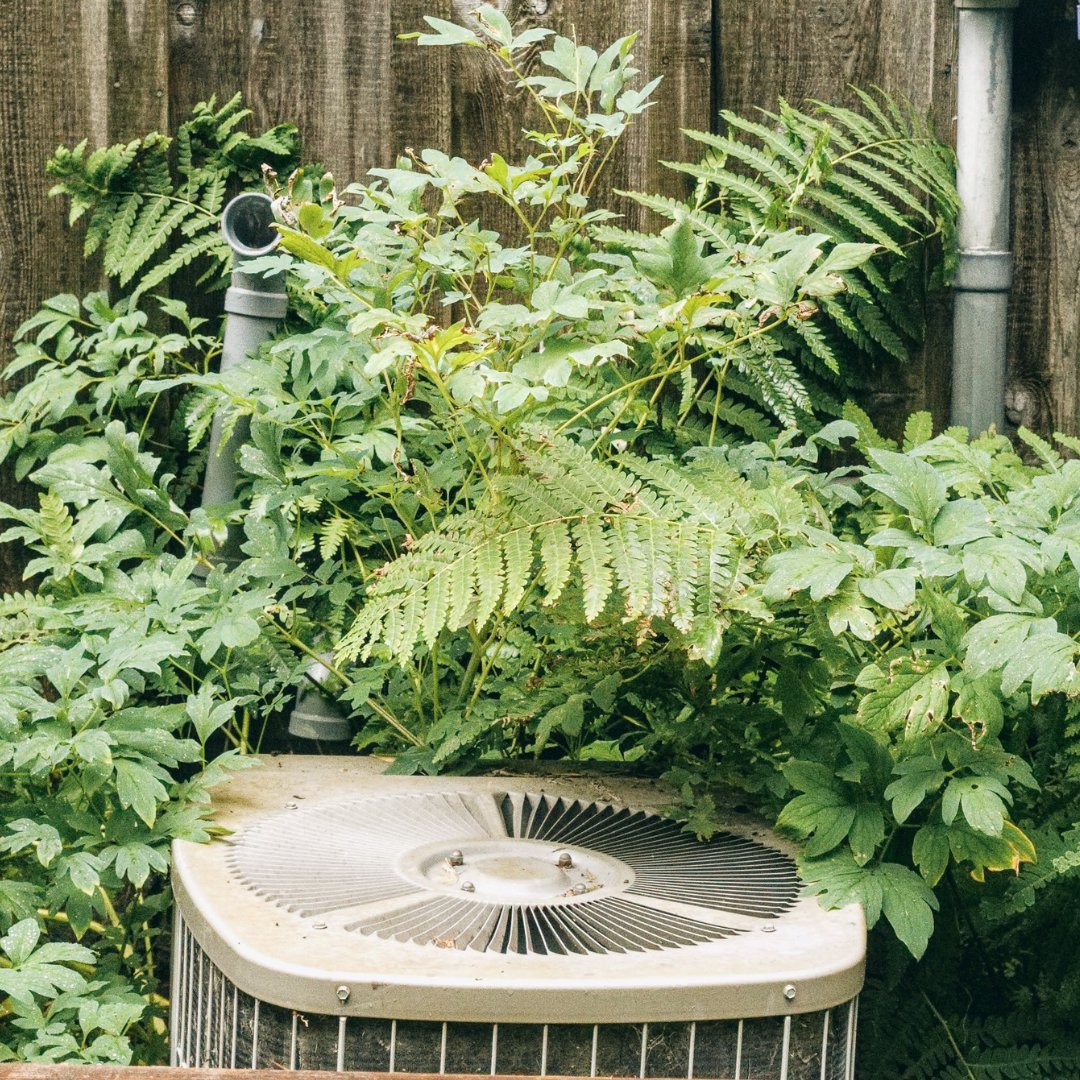 ComfortTemp352's tweet image. Did you know that placing plants too close to your outdoor AC unit cause harm to your unit?

Plants and debris can restrict airflow within your home, causing your unit to work harder. Keep an eye on the vegetation around your unit!

#AirConditioningTips #ACTips