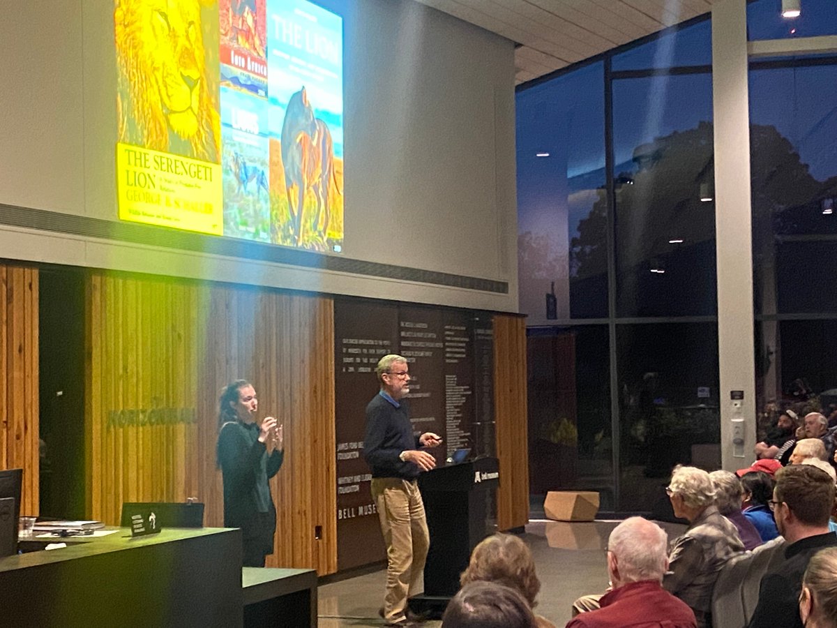 Thanks to everyone who came out to the @bellmuseum last night to hear #umncbs faculty member Craig Packer of the @umnlioncenter speak on his experiences in the field and ways to conserve these iconic cats in the future.