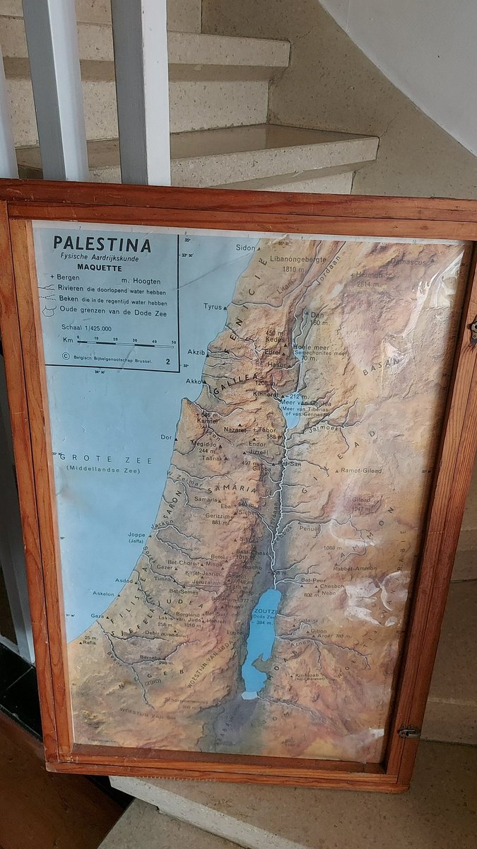 Pieter Herman🌈🇧🇪🇪🇺 tweet media