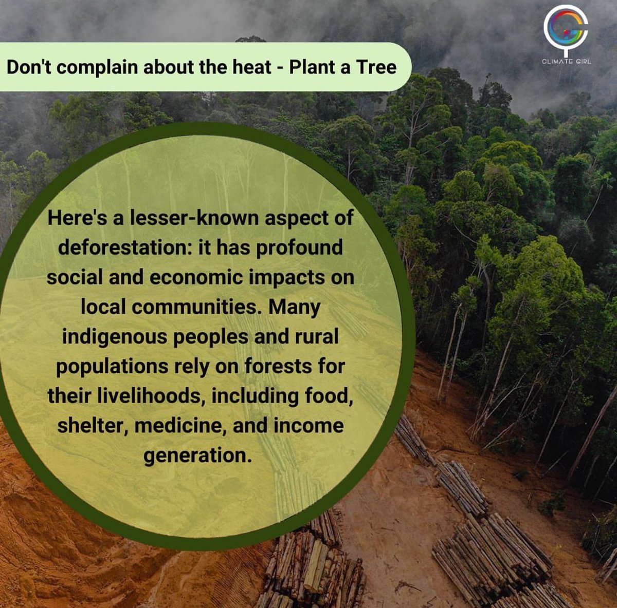 Deforestation harms communities! 🌳👨‍🌾 Indigenous livelihoods at risk. Protecting forests is essential for people and culture. #ForestImpact #CommunityWellBeing #ravenspirit #peakpeekstore #tagethernet #climategirlnft