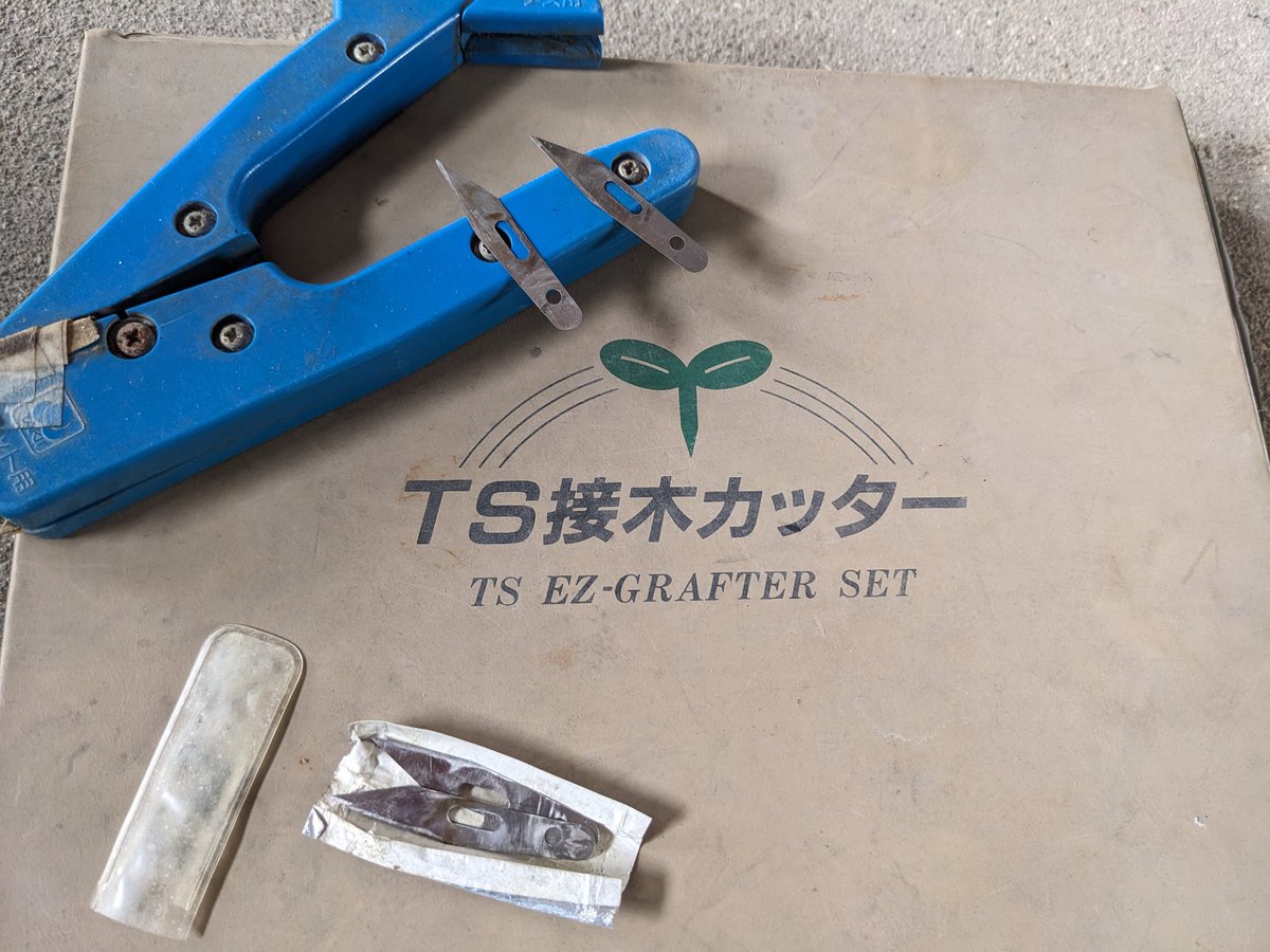 茶坊主小僧 tweet media