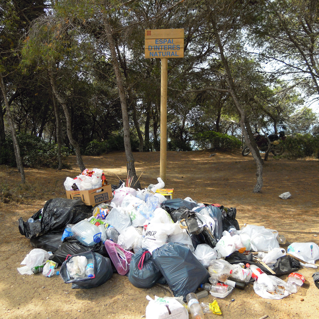 Fundación Bosc de la Marquesa tweet media