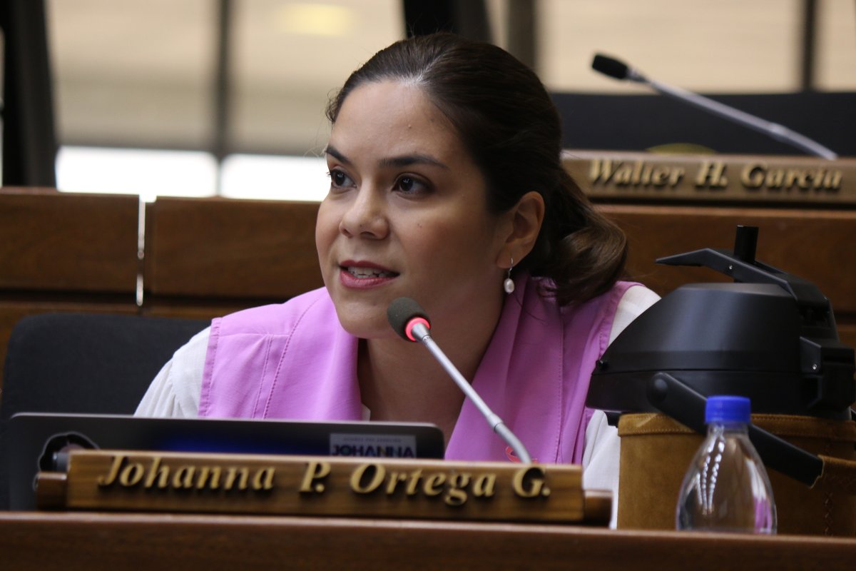 Radiocamarapy's tweet photo. #Oradores La Dip. @JohannaParaguay , aseguró que "el Ministro de @MJusticiaPy , no puede resolver la situación del Penal de Tacumbu desde su casa. Es él, el que debe tomar la iniciativa para que se de la solución sin importar que el error es de larga data" aseguró la legisladora. https://t.co/6PKEAbdSY0