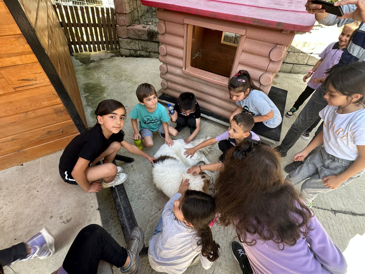 AvukatHusnu's tweet photo. 4 Ekim Hayvanları Koruma Günü etkinlikleri kapsamında 1-A ve 2-C sınıfı öğrencilerimiz belediyemizin hayvan rehabilitasyon merkezini ziyaret etti.@ayancikilcemem @Ayancikkym @sinopilmem @tcmeb https://t.co/ETPzystV9U