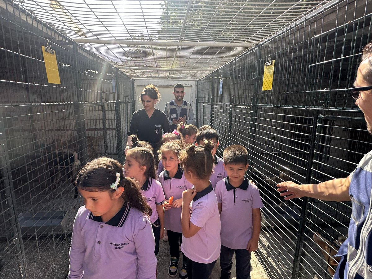 4 Ekim Hayvanları Koruma Günü etkinlikleri kapsamında 1-A ve 2-C sınıfı öğrencilerimiz belediyemizin hayvan rehabilitasyon merkezini ziyaret etti.<a href="/ayancikilcemem/">Ayancık İlçe Millî Eğitim Müdürlüğü</a> <a href="/Ayancikkym/">T.C.Ayancık Kaymakamlığı</a> <a href="/sinopilmem/">Sinop Milli Eğitim Müdürlüğü</a> <a href="/tcmeb/">Millî Eğitim Bakanlığı</a>