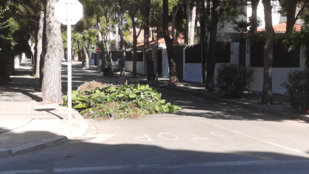 Des  del gremi, lamentem aquestes maneres de fer i ens en desmarquem.
Estem en un traspàs mentres la planta de compostatge resta tancada i busquem una alternativa conjuntament amb la <a href="/mancomunitatPG/">Mancomunitat Penedès-Garraf</a> .