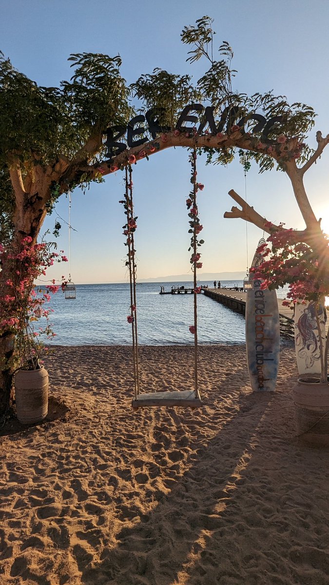 #bancografia para <a href="/mikelayestaran/">mikel ayestaran</a> con vistas a Israel de fondo. Te seguimos.