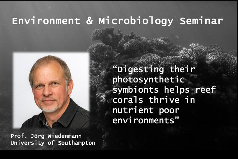 Ed Smith tweet media