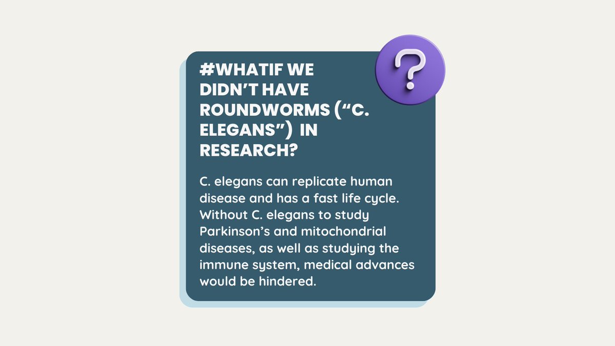 #WhatIf we didn't have the #roundworm (#CElegans) in research?

#AnimalResearch #ParkinsonsDisease #MitochondrialDisease #ImmuneSystem