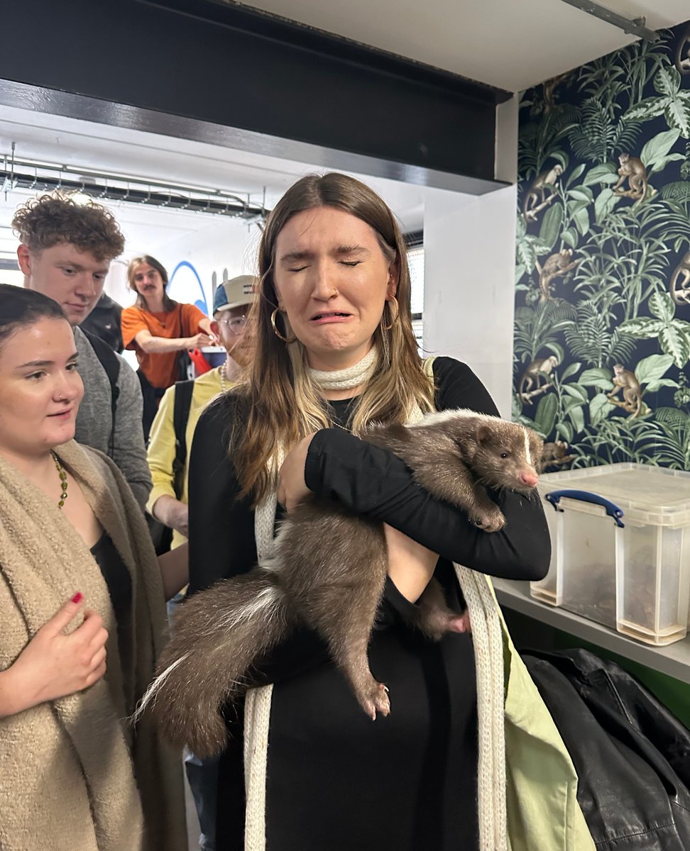 dwell Student Living tweet media