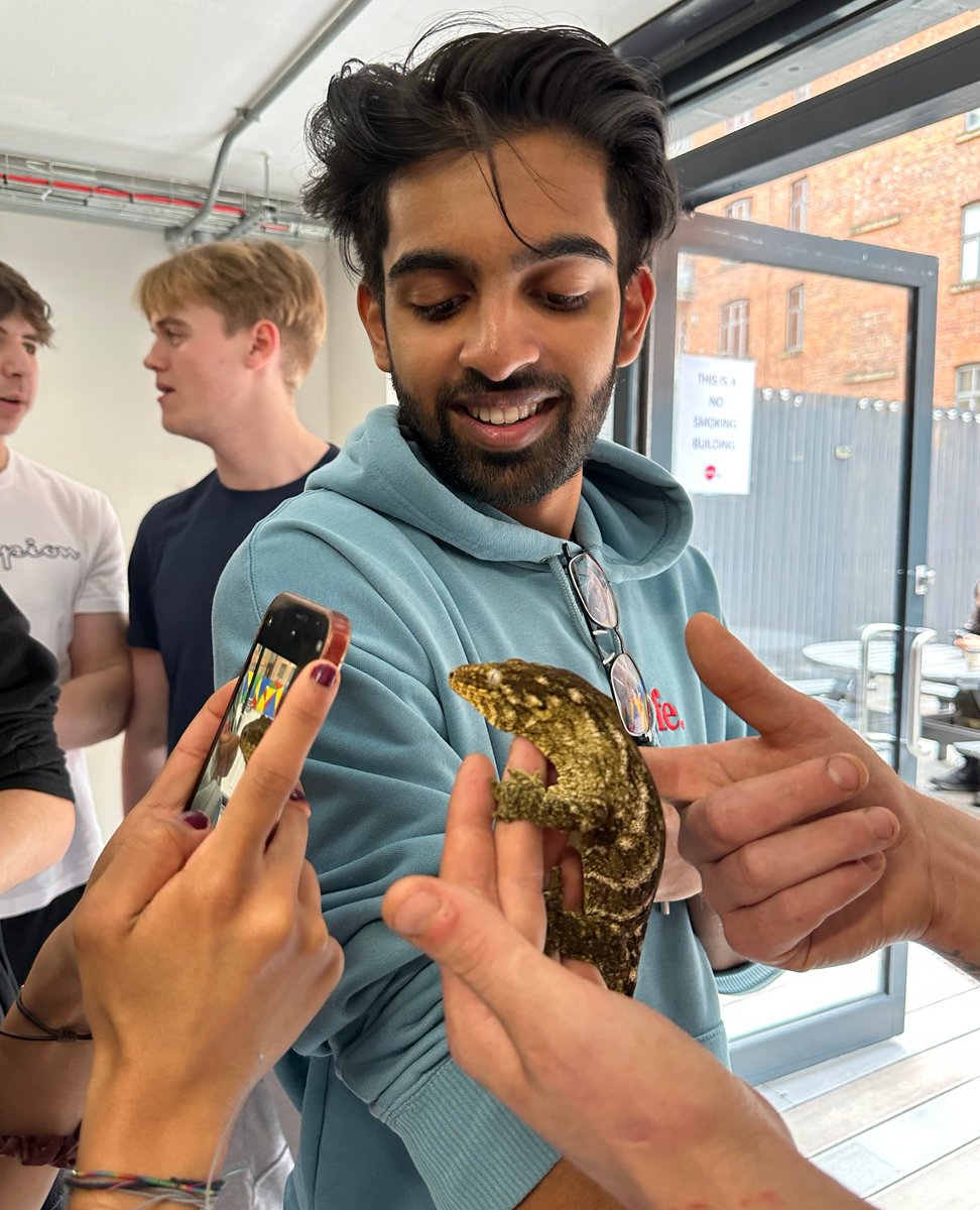 dwell Student Living tweet media